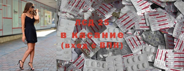 ПСИЛОЦИБИНОВЫЕ ГРИБЫ Лихославль
