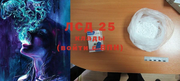 ПСИЛОЦИБИНОВЫЕ ГРИБЫ Лихославль