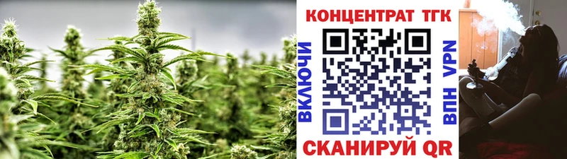 ТГК концентрат  Купить  Питкяранта 