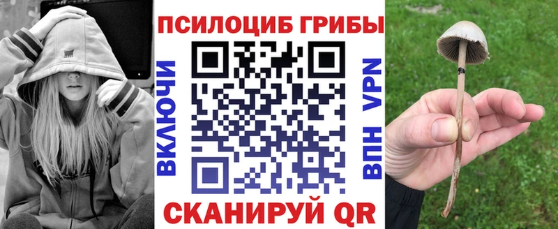 Купить  Питкяранта  Галлюциногенные грибы Cubensis 